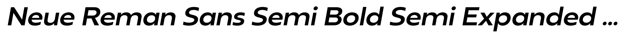 Neue Reman Sans Semi Bold Semi Expanded Italic image